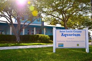 St. Lucie County Aquarium - Fort Pierce, Florida 34949